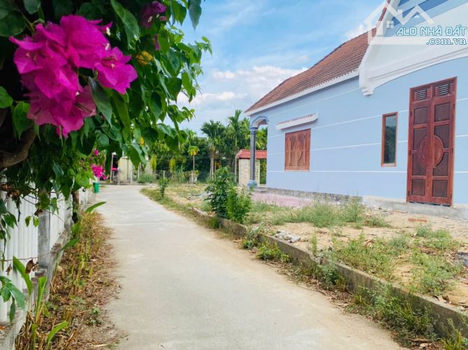 bán đất thị trấn Tịnh Hà - tặng căn nhà mái thái kiên cố 480m2 Full thổ cư - 3