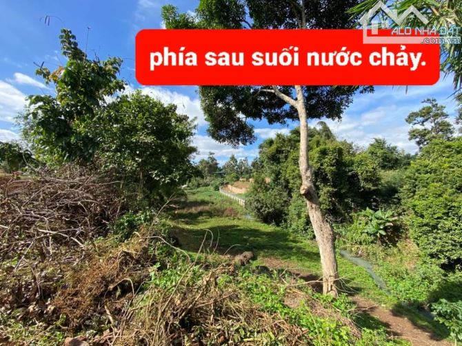 ĐẤT THỔ CƯ VIEW SUỐI KM12 - 150M MẶT TIỀN GIÁ NGỘP