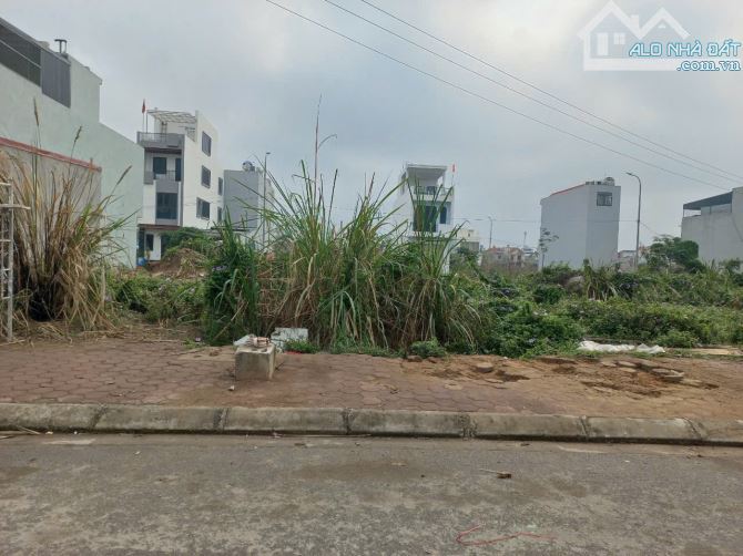 Chính chủ gửi bán lô Lk01 tđc Đống Trịnh - Tân Dương vị trí đẹp.