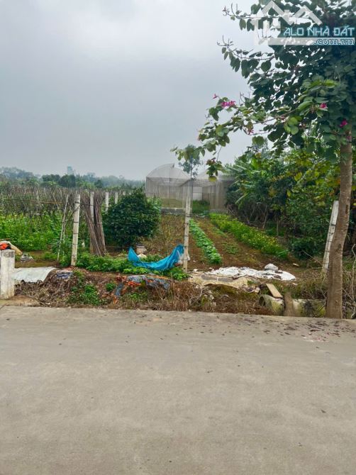 Bán 680m Đất Trồng Cây Tại Yên Mỹ, Mặt Tiền 17m, Có Sẵn Nhà Cấp 4, Sổ Đỏ