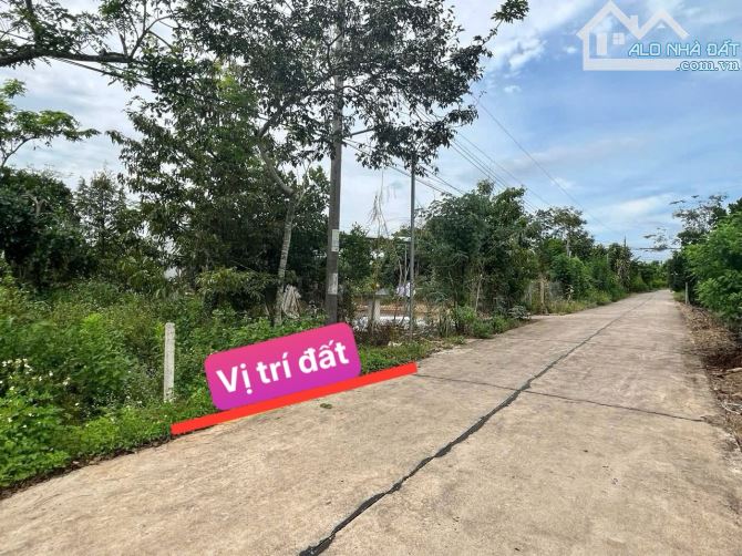 ✨ 5x35m (Full ONT), đường Bê Tông 5M (QHLG: 20M) Ô tô tới đất, giáp đường Nhựa Lớn - 510Tr