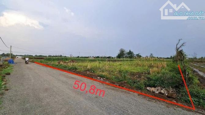 Đất sào phân lô, làm kho, nhà vườn Hòa Khánh chợ Đoàn Kết đi vào 2km - 1