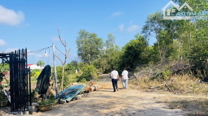 BÁN ĐẤT THỊ TRẤN PHƯỚC HẢI ĐẤT ĐỎ BÀ RỊA VŨNG TÀU - 1