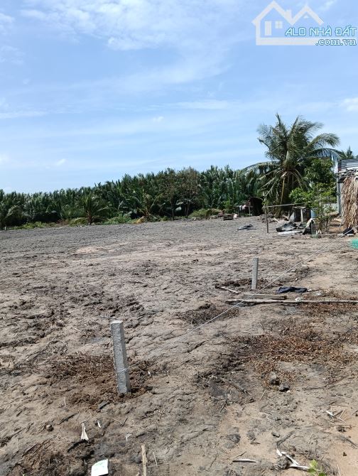 Bán lô đất HNK 3880m2 ở bình khánh cần giờ giá chỉ 2,5tỷ. - 1