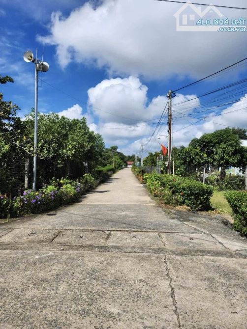 ✨ 115m2 Full ONT. Đường Bê Tông hiện hữu ô tô tới đất. QH khu bàn cờ nhà dân ở kín - 420Tr - 1