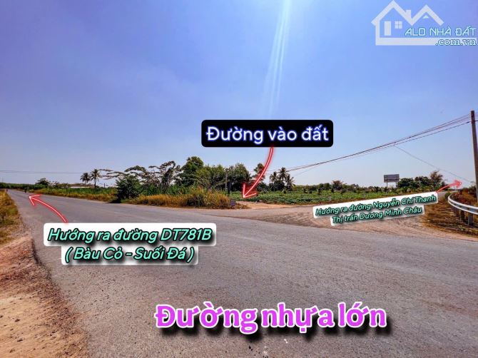 ✨ Góc 2 MT View Núi Bà: 8x23m (50m2 ONT). Cách Nhựa 350m, cách Thị trấn DMC chỉ 6