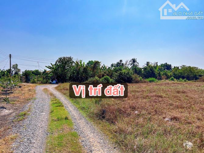 ✨ Góc 2 MT View Núi Bà: 8x23m (50m2 ONT). Cách Nhựa 350m, cách Thị trấn DMC chỉ 6