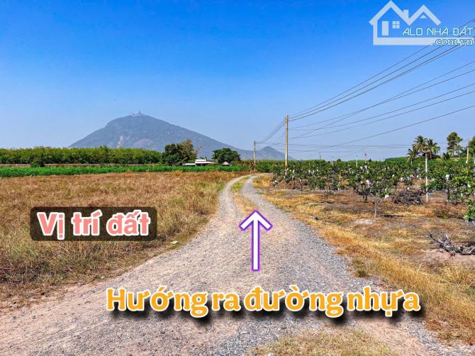 ✨ Góc 2 MT View Núi Bà: 8x23m (50m2 ONT). Cách Nhựa 350m, cách Thị trấn DMC chỉ 6