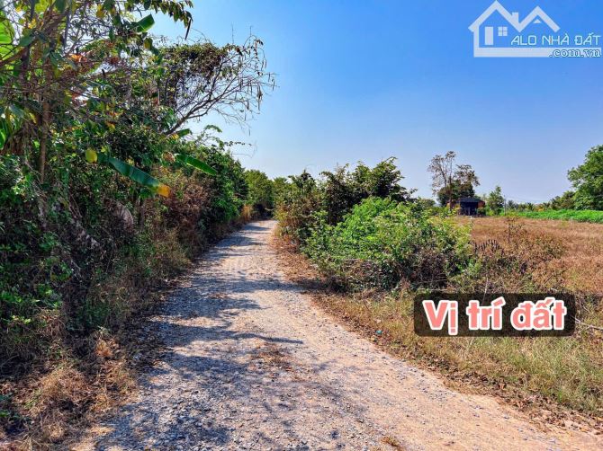 ✨ Góc 2 MT View Núi Bà: 8x23m (50m2 ONT). Cách Nhựa 350m, cách Thị trấn DMC chỉ 6