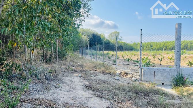 BÁN ĐẤT THỊ TRẤN PHƯỚC HẢI ĐẤT ĐỎ BÀ RỊA VŨNG TÀU - 2
