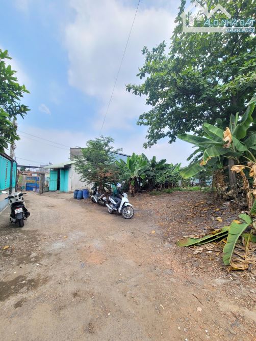 3Ty750 TL Đất 180,5m2 (6,8x27) Xây Tự Do, Gần Làng Đại Học - 2
