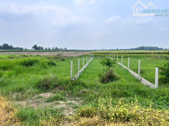 bán đất,DT 180m2 ,xã Thanh Phước, Gò Dầu, Tây Ninh,mặt nhựa. - 2