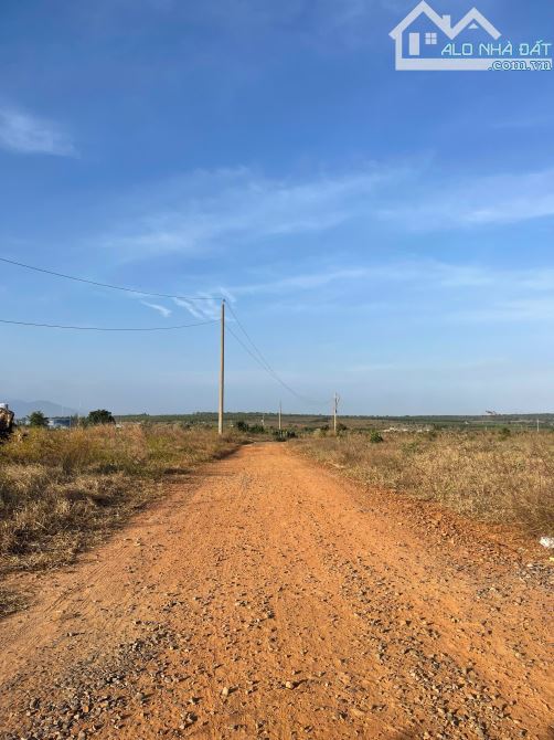Bán 1HA đất có thanh long xã Hàm Kiệm giá đầu tư gần Novaworld Phan Thiết - 2