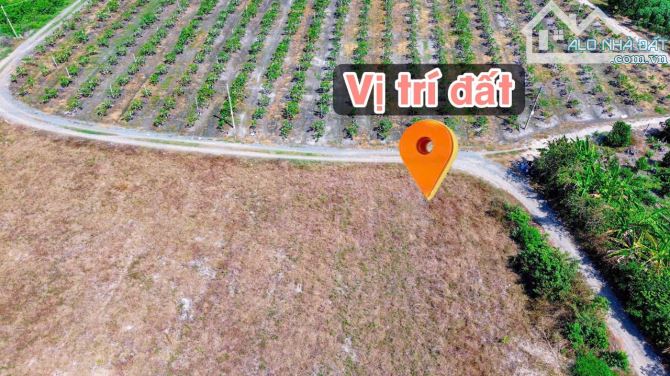 ✨ Góc 2 MT View Núi Bà: 8x23m (50m2 ONT). Cách Nhựa 350m, cách Thị trấn DMC chỉ 6
