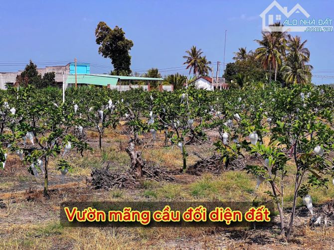 ✨ Góc 2 MT View Núi Bà: 8x23m (50m2 ONT). Cách Nhựa 350m, cách Thị trấn DMC chỉ 6