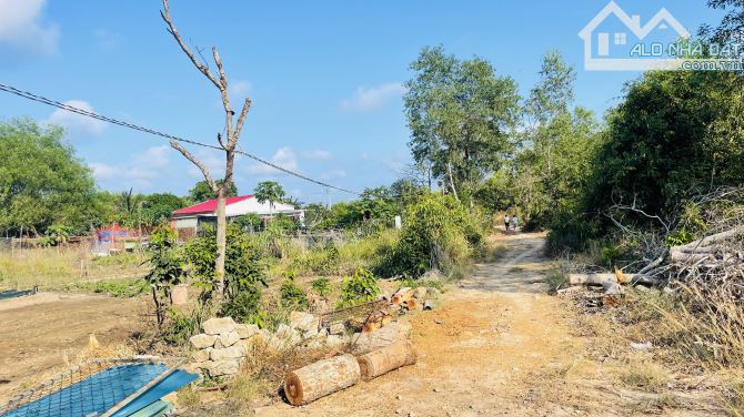 BÁN ĐẤT THỊ TRẤN PHƯỚC HẢI ĐẤT ĐỎ BÀ RỊA VŨNG TÀU - 3