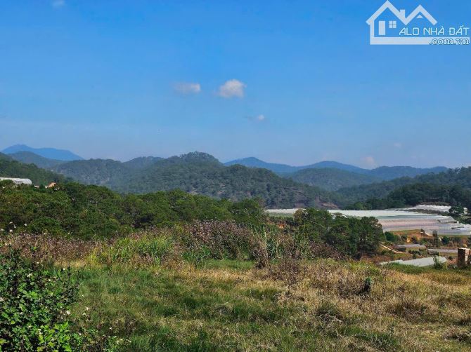 Lô đất Xuân Thọ - 2047m- có view rừng thông🌲-24 Tỷ- ( 12TR/M) - 3