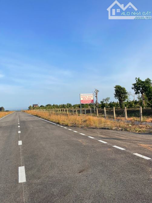 Bán 1HA đất có thanh long xã Hàm Kiệm giá đầu tư gần Novaworld Phan Thiết - 3