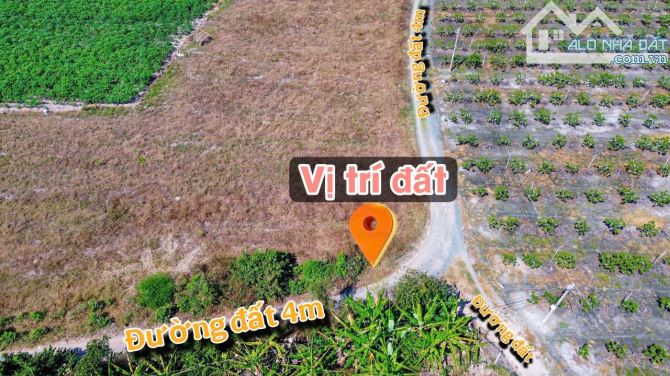 ✨ Góc 2 MT View Núi Bà: 8x23m (50m2 ONT). Cách Nhựa 350m, cách Thị trấn DMC chỉ 6