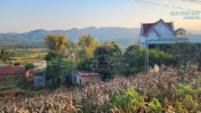 Bán nhanh lô đất mặt tiền Ql20 ninh gia đức Trọng – Giá tốt nhất khu vực! - 3