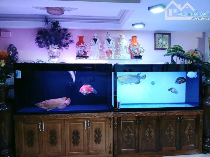 HIẾM MẶT TIỀN " NGUYỄN SƠN ( 4.5x18m ) 5 TẦNG KIÊN CỐ- VỊ TRÍ ĐỈNH CHỈ HƠN 18 TỶ - 5