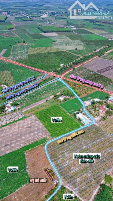 ✨ Góc 2 MT View Núi Bà: 8x23m (50m2 ONT). Cách Nhựa 350m, cách Thị trấn DMC chỉ 6