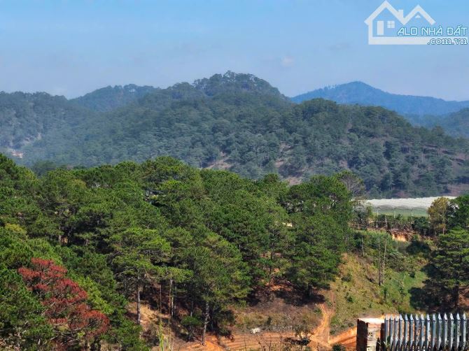 Lô đất Xuân Thọ - 2047m- có view rừng thông🌲-24 Tỷ- ( 12TR/M) - 7