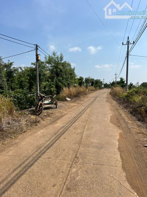 ĐẤT HÉT RẺ THUỘC THÔN 9 XÃ HÒA PHÚ BMT HƠN 1,5 HECTA GỒM 150M MẶT ĐƯỜNG XE Ô TÔ TẬN NƠI - 9