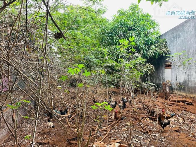 Cần bán lô đất mặt tiền đường Hồ Tùng Mậu gần sân bay, Pleiku, Gia Lai - 2