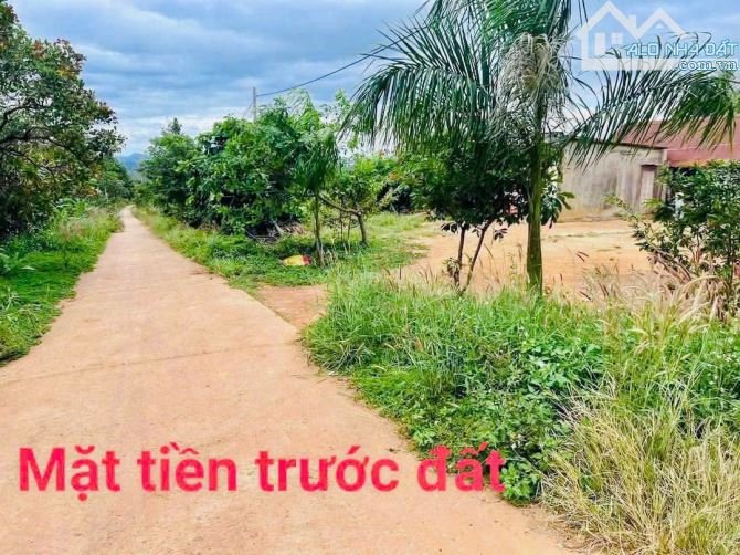 Cư Mgar bán lô đất 2mt trước sau sẵn thổ cư
