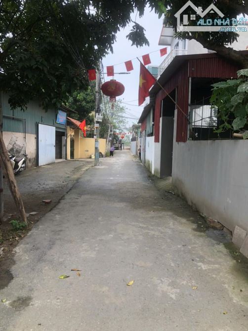 BÁN ĐẤT YÊN MỸ THANH TRÌ. 46 M . ĐẸP NHẤT KHU VỰC . MUA NHANH . Ô TÔ ĐỖ CỦA - 1