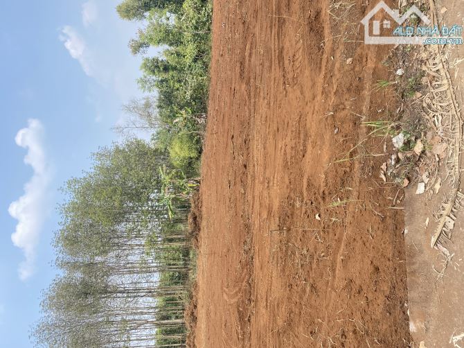 Block 5lô Eadrong hàng cho nhà đầu tư - siêu đẹp - 1