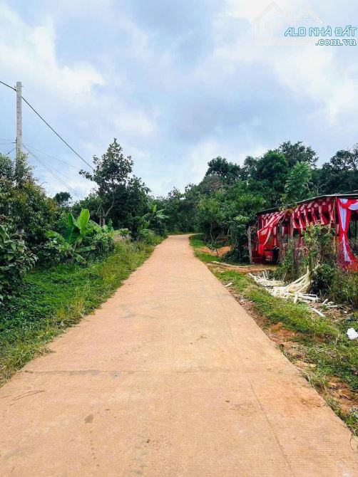 Cư Mgar bán lô đất 2mt trước sau sẵn thổ cư - 1