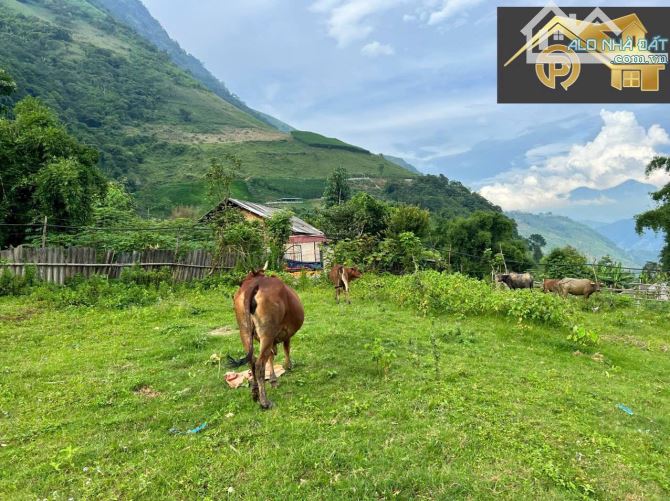 Bán đất làm homestay tại Sa Pa, 3,9 tỷ sẵn đất ở xây dựng được luôn - 2