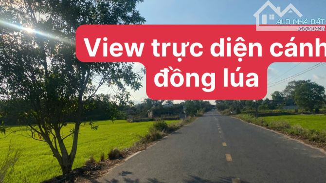 ĐẤT HUYỆN LONG ĐẤT GẦN KCN ĐẤT ĐỎ, CÁCH BIỂN 8KM ĐƯỜNG NHỰA TRỤC CHÍNH SÂN BAY LỘC AN - 2