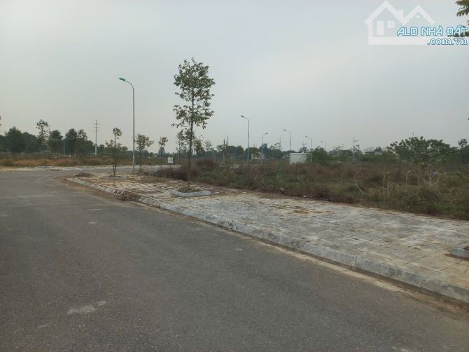 Bán đất MBQH3208 Đông Hải TP Thanh Hoá - 3