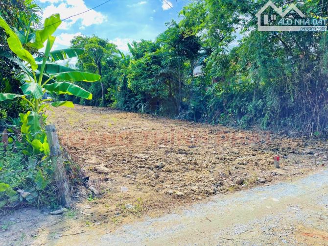 Đất Hương Toàn 141m2 chỉ 5xx triệu - 4