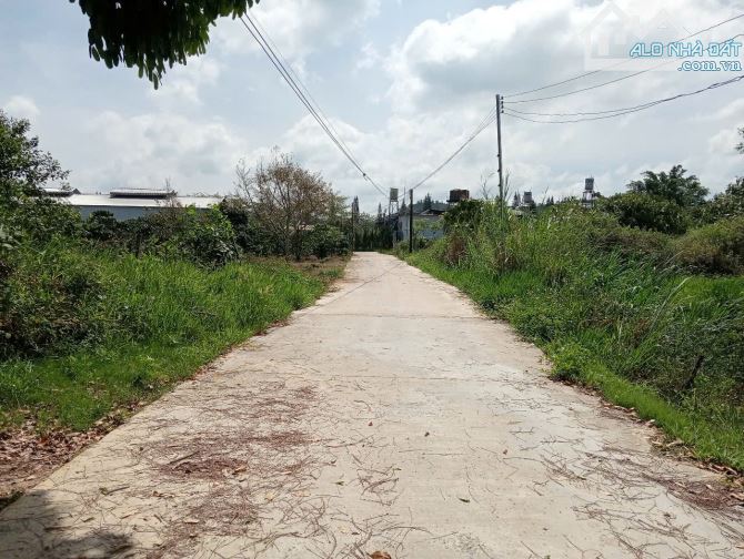 21x32m mai thúc loan Đại Lào Bảo lộc. - 5