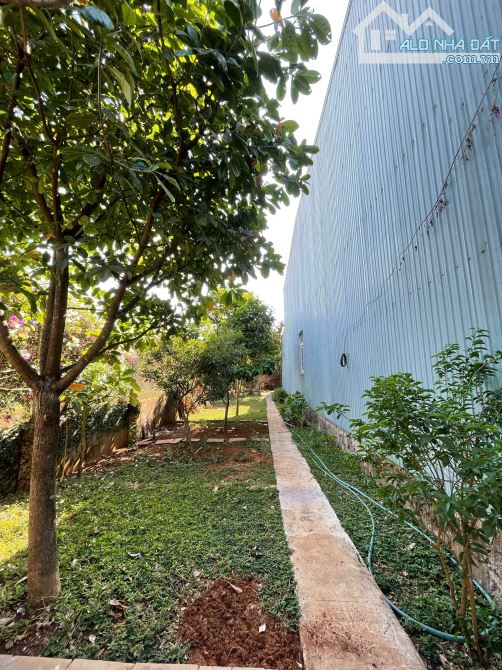 🧨🧨Chủ cần chuyển chỗ ở bán nhà mê lỡ  đẹp hẻm chính Lạc Long Quân - 7