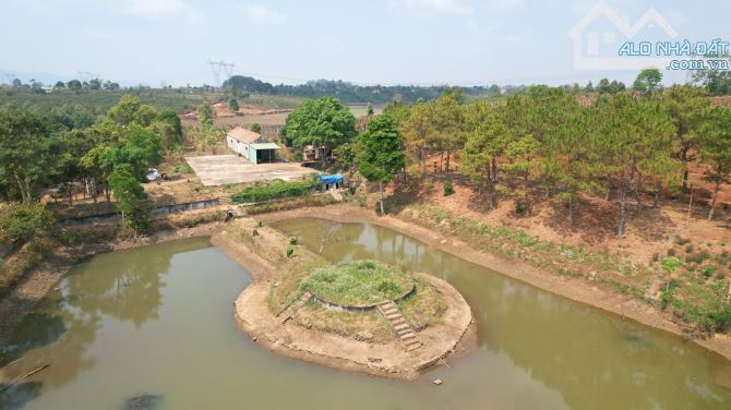 BÁN LÔ ĐẤT RẪY 13HA ĐẤT ĐỎ BAZAN TẠI CHƯPĂH - PLEIKU - GIA LAI