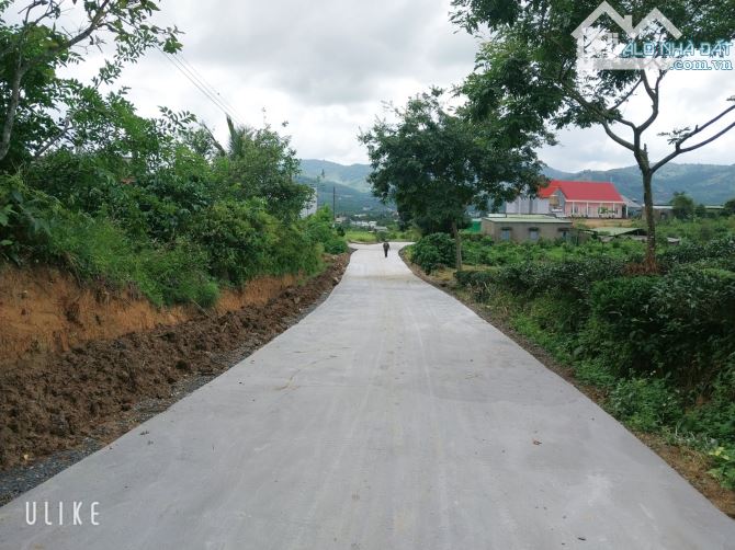 4.5 sào Bảo Lộc 70m mặt đường view toàn cảnh