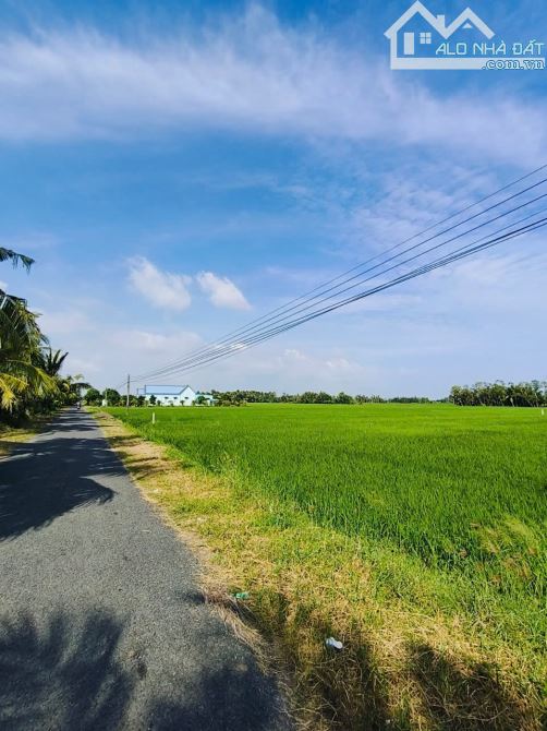 Bán Đất Ruộng Long Phú Giá Rẻ Diện Tích Lớn Giá Nào Cũng Bán