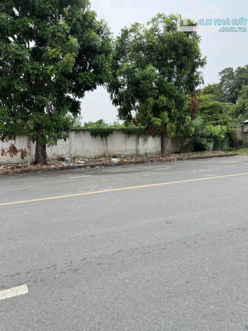 ĐẤT KHỦNG 37M X 41M FULL THỔ CƯ - MẶT TIỀN ĐƯỜNG NHỰA 30M - KDC VĨNH LỘC A - CHỈ 46 TỶ ... - 1