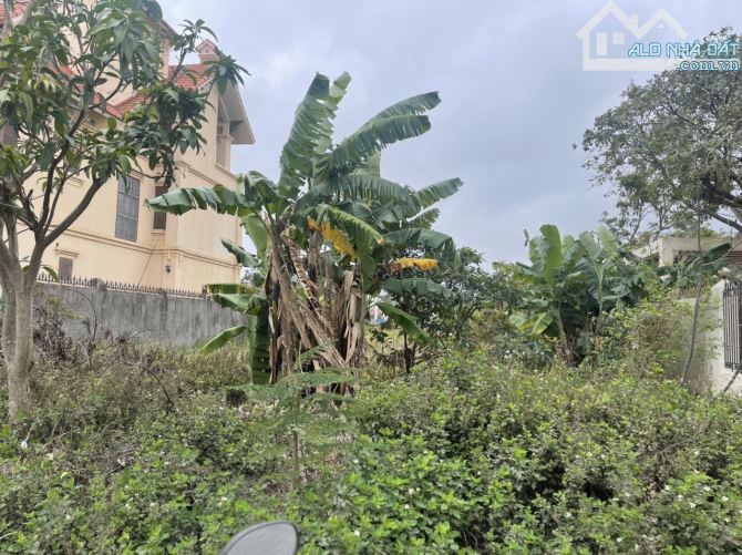 Bán Đất Biệt Thự 300m2 KĐT Anh Dũng V Đã có sổ đỏ giá 5.6 tỷ - 1