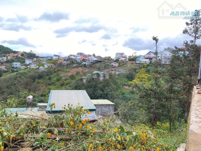 300m2 view thông Hoàng Hoa Thám, đường xe hơi tận nơi - còn 9 tỷ - 1