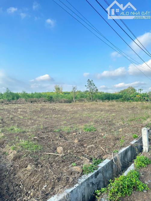 Bán Đất Trung Tâm Xã Đá Bạc - Chỉ 570 Triệu/Nền - Có 80m2 Thổ Cư - Còn 2 Nền Duy Nhất - 1