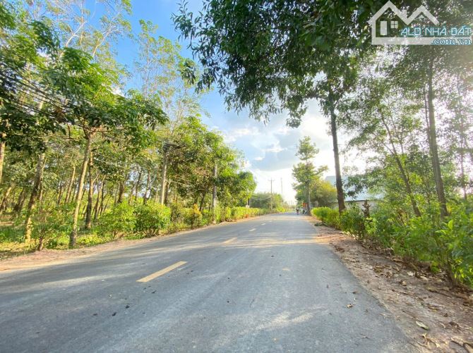 Chỉ với 880tr thì anh/chị tìm đâu ra một lô đất có giá hời như vậy ạ. - 1