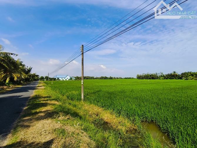 Bán Đất Ruộng Long Phú Giá Rẻ Diện Tích Lớn Giá Nào Cũng Bán - 1