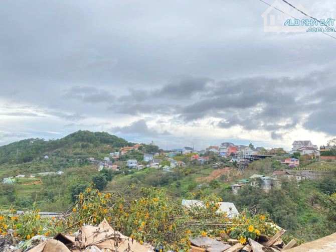 300m2 view thông Hoàng Hoa Thám, đường xe hơi tận nơi - còn 9 tỷ - 2