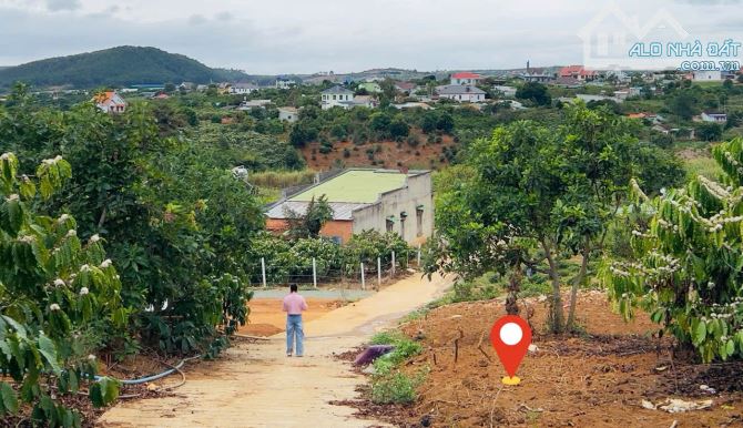 🥰Đông Thanh - Lâm Hà cách Đà Lạt chỉ 13km - 2